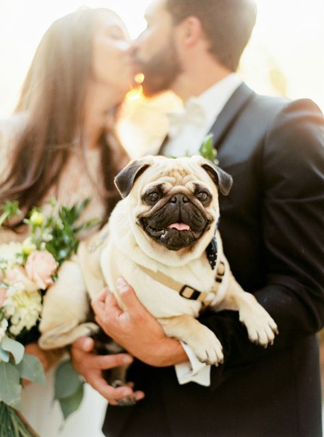 Bride, groom and pug: http://www.stylemepretty.com/2016/04/13/a-portugal-wedding-straight-from-a-fairytale/ | Photography: Brancoprata - http://brancoprata.com/ Pug Wedding, Dog Wedding Outfits, Wedding Picture Poses, Fairytale Photography, Portugal Wedding, Wedding Photography Styles, Wedding Pets, A Pug, Fairytale Castle