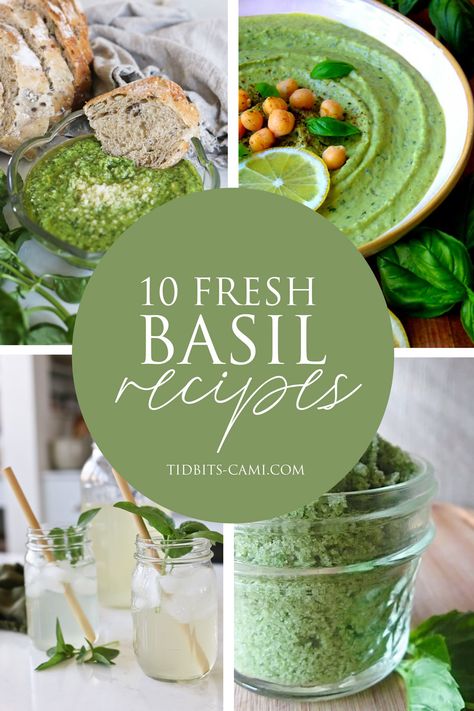 If your garden is abundant with basil, let's explore what to make with fresh basil with these 10 yummy fresh basil recipes. Lemon Basil Recipes, Basil Recipes Healthy, Benefits Of Basil, Basil Hummus, Basil Smoothie, Fresh Basil Recipes, Basil Recipes, Deli Sandwiches, Herb Recipes