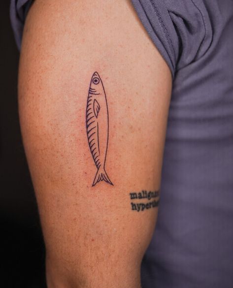 Minnow Fish Tattoo, Sardine Tattoo Minimalist, Sardine Tattoo Fish, Tin Fish Tattoo, Fish Line Tattoo, Two Fish Tattoo, Taiyaki Tattoo, Delicate Fish Tattoo, Fine Line Fish Tattoo