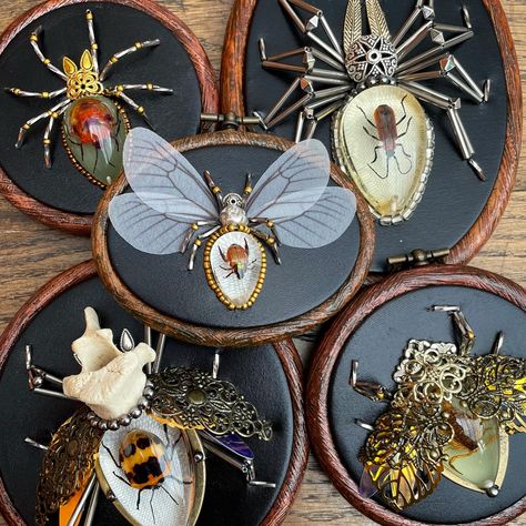 The black collection. Featuring repurposed jewellery, beads, sequins, insect specimens encased in resin and a deer vertebrae. #vultureculture #entomologyart #insecttaxidermy #contemporaryembroidery #odditiesandcuriosities #witchythings #darkdecor #gothichome Insect Taxidermy Art, Pinned Bugs, Bug Pinning, Deer Vertebrae, Bug Taxidermy, Beaded Insects, Beaded Bugs, Neat Crafts, Entomology Art