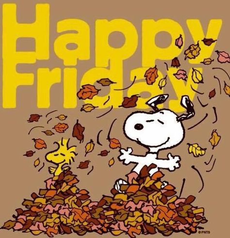 Snoopy Happy Fall Friday Snoopy Friday, Happy Friday Pictures, Good Morning Snoopy, Friday Pictures, Friday Images, Woodstock Peanuts, Good Morning Happy Friday, Good Morning Friday, Happy Friday Quotes