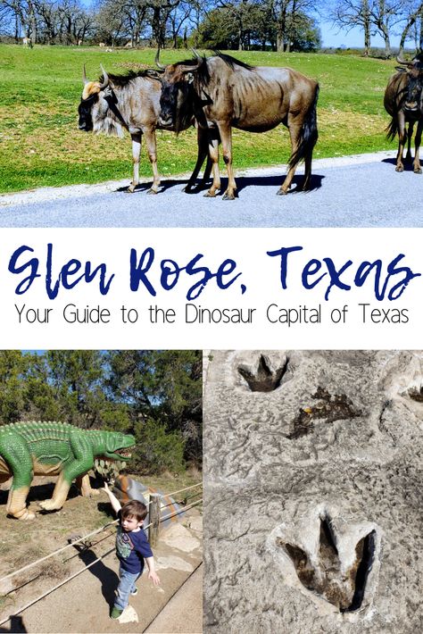 Glenrose Texas, Weekend Trips From Dallas, Glen Rose Texas, Glen Rose Texas Dinosaurs, Hiking In Texas, Dinosaur Valley State Park, Glen Rose, Texas Adventure, Visit Texas