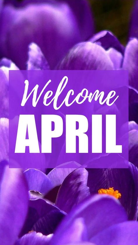 Welcome April wallpaper backgrounds April Iphone Wallpaper, Iphone Wallpaper 2022, Flower Homescreen, Welcome April, April Wallpaper, Wallpaper 2022, Calendar Background, Hello April, Happy New Month