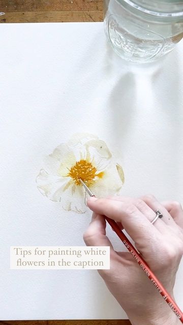 How To Paint White Flowers, White Watercolor, Painting White Flowers, White Watercolor Flowers, How To Paint White Flowers In Watercolor, Watercolor White Flowers, White Flower Watercolor Painting, White Flower Watercolor, Painting White Flowers In Watercolor