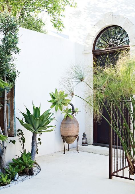 Exotic Homes, Painted Patio, Hidden Garden, Melbourne House, Patio Interior, Outdoor Inspirations, Moroccan Style, Outdoor Design, White Walls