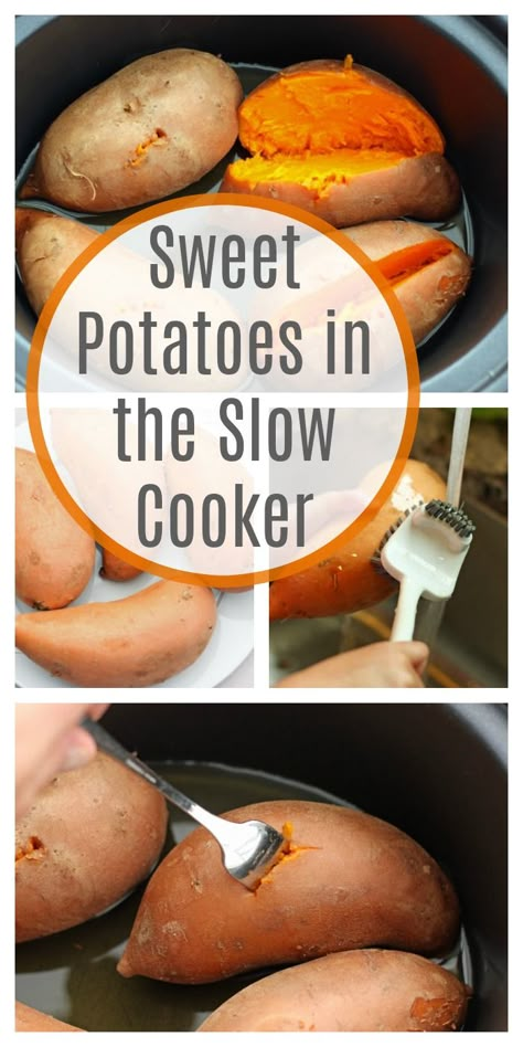 Crockpot Sweet Potato Recipes, Crockpot Sweet Potatoes, Crock Pot Sweet Potatoes, Dinner Crockpot, Crockpot Ideas, Cooking Sweet Potatoes, Toddler Recipes, Crockpot Dishes, Crockpot Slow Cooker