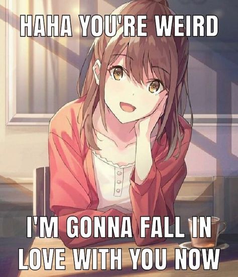 Anime • Memes • Culture’s Instagram post: “Yes you are but follow @weebmeccha to redeem yourself - - - #weebmeccha #weebmeme #weebmemes #animeme #animemes #animememe #funnyanime” Im Going Crazy, Wholesome Memes, Cute Memes, Fb Memes, Funny Anime Pics, An Anime, Funny Laugh, Reaction Pictures, Mood Pics