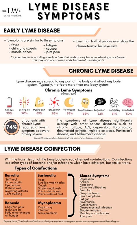 Lyme Disease can manifest in a huge variety of symptoms. Check out just a few and some of the co-infections. Lyme's Disease Symptoms, Lyme's Disease Diet, Bartonella Symptoms, Lyme Symptoms, Lymes Disease, Gene Mutation, Mthfr Gene Mutation, Mthfr Gene, Dysautonomia Pots