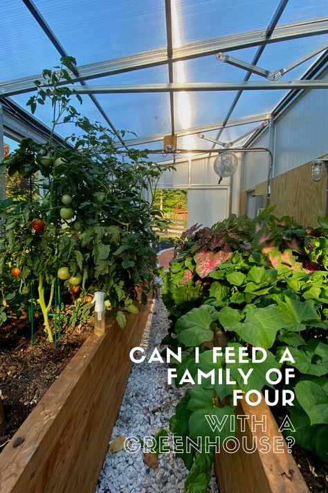 Greenhouse Veggie Garden, Green House Veggie Garden, Green House Set Up Inside, Greenhouse Growing Tips, Greenhouse 101, Greenhouse Planting Layout, Greenhouse Tips, Planting Layout, Gardening Hobby