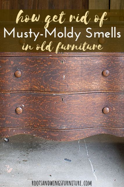 4 Steps to Get Rid of that Musty Smell • Roots & Wings Furniture LLC, #Furniture #LLC #Musty #refurbished #Rid #Roots #smell #Steps #Wings Check more at https://furniture.oldii.com/4-steps-to-get-rid-of-that-musty-smell-roots-wings-furniture-llc/ Restore Wood Furniture, Drawers Diy, Restoring Old Furniture, Restore Wood, Furniture Fix, Furniture Painting Techniques, Diy Furniture Renovation, Furniture Rehab, Cleaning Wood