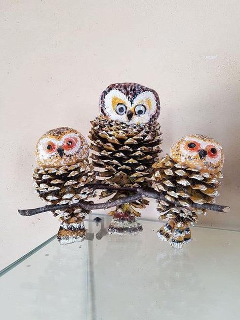 Sharing ideas Pinecone Owls, Pinecone Crafts Christmas, How To Make Something, Painted Pinecones, Pine Cone Art, Acorn Crafts, Pinecone Ornaments, Pine Cone Decorations, Cones Crafts