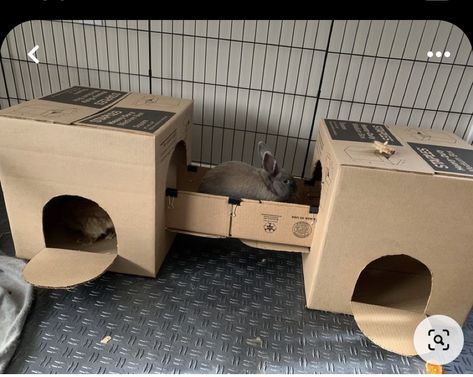 Diy Bunny House Cardboard, Bunny Diy Cage, Diy Rabbit House Cardboard, Cardboard House For Rabbits, Rabbit Ideas Diy, Diy Bunny Accessories, Diy Bunny Furniture, Bunny Box Diy, Diy For Bunny