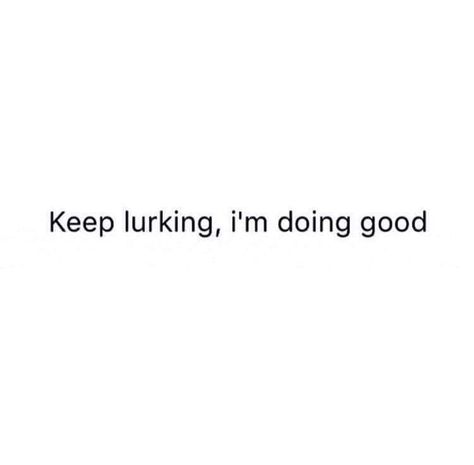 Keep lurking I'm doing good Bio For Jealous People, Keep Lurking Im Doing Good Quotes, People Lurking Quotes, Stop Lurking On My Page, Im Better Quotes, Im Doing Good Quotes, Keep Lurking Quotes Funny, I See You Lurking On My Page, Impress Me Quotes