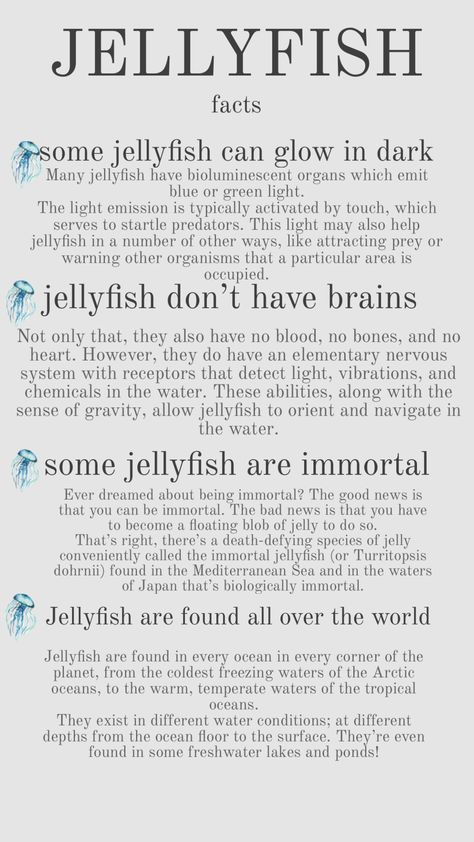 Jellyfish facts https://www.bristolaquarium.co.uk/education/10-amazing-jellyfish-facts-for-kids/ #jellyfish #facts #animals #poster #posters Ocean Creatures Art, Oceanography Marine Biology, Ocean Art Projects, Jellyfish Facts, Jellyfish Pictures, Shark Facts, Sea Jellies, Animals Poster, Princess Jellyfish