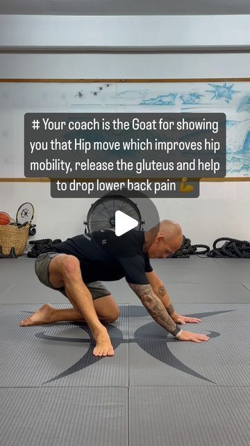 Joints In The Body, Best Exercise For Hips, Holistic Coach, Hip Mobility Exercises, Hip Strengthening Exercises, Hip Flexor Exercises, Lower Back Pain Exercises, Hip Flexors, Body Joints