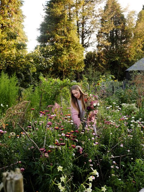 Bex Partridge's beautiful dried flower creations Bex Partridge, White Larkspur, Alchemilla Mollis, Beauty Of Flowers, Flower Artists, Flower Business, Flower Installation, West Country, Plant Dyes