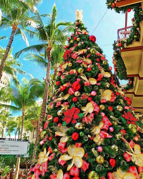 Christmas In Hawaii Aesthetic, Christmas Luau, Tiki Christmas, Christmas In Hawaii, Palm Tree Background, Island Christmas, Hawaii Christmas, Hawaii Honolulu, Tree Palm