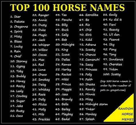 . Pretty Horse Names, Bloxburg Horse Riding Codes, Good Horse Names, Star Stable Horse Names, Gelding Horse Names, Minecraft Swem Horse, Horse Names List, Cute Horse Names, Unique Horse Names