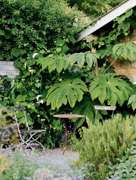 Dan Pearson takes us on a tour of his wild, beautiful Somerset garden at the culmination of the growing season | House & Garden New Perennial Garden, Garden Natural Design, Hay Meadow, Dan Pearson, Scandinavian Garden, Shade Garden Design, Small Courtyard Gardens, Market Garden, Patio Style