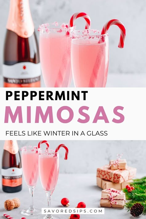 Add a festive twist to your brunch with Peppermint Mimosas, the perfect holiday cocktail blending classic champagne and a minty freshness. #PeppermintMimosas #HolidayCocktails #BrunchIdeas #FestiveDrinks Christmas Day Mimosas, Peppermint Holiday Cocktails, Holiday Mimosa Bar, Winter Mimosa Recipe, Winter Prosecco Cocktails, Holiday Mimosa Recipe, Peppermint Mimosa, Christmas Brunch Cocktails, Christmas Mimosa Recipe