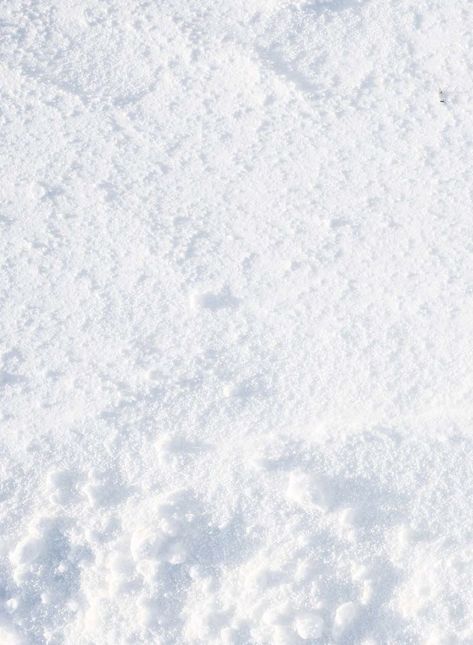 Cool White Backgrounds, Winter Texture, Snow Texture, Snow Background, Ice Cooler, Forest Background, Winter Background, Snow And Ice, White Backdrop