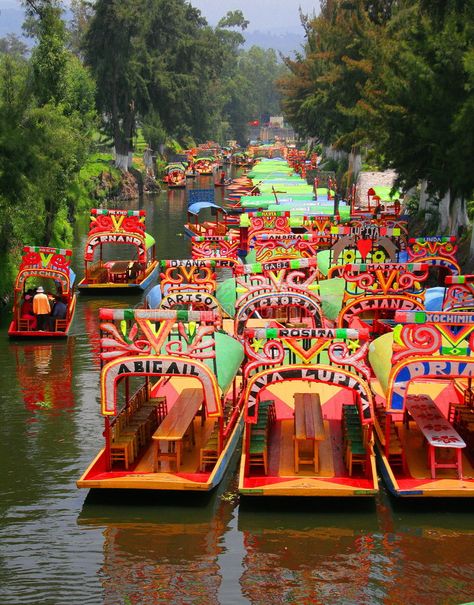 Foto acerca Vista de un acceso en el xochimilco, Ciudad de México, México. Imagen de competición, conservación, barco - 2783804 Mexico Bucket List, Mexican Paintings, Mexico Beaches, Explore Mexico, Mexico Food, Mexico Style, Mexico Culture, Mexico City Mexico, Mexico Resorts