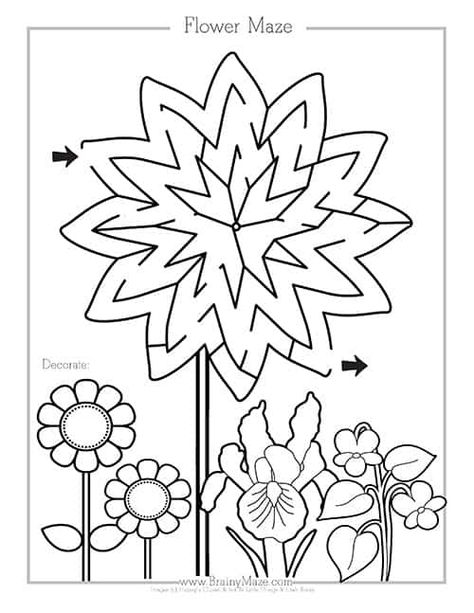 Daisy Activities, Sunday School Coloring Sheets, Girl Scout Daisy Activities, Mazes For Kids Printable, Spring Worksheet, Maze Worksheet, Printable Mazes, Plant Activities, Girl Scout Daisy