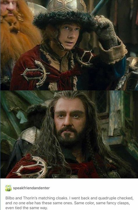 Bilbo And Thorin, Bilbo X Thorin, Thorin And Bilbo, Thorin Bilbo, Thilbo Bagginshield, Red Cloak, Lotr Funny, Fili And Kili, Desolation Of Smaug