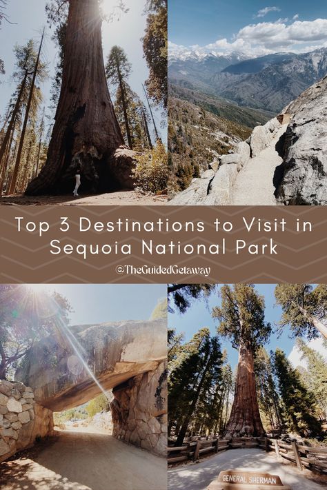 Hiking California National Parks Sequoia Sequoia National Park With Kids, Sequoia National Park Photography, Sequoia National Park Map, Sequoia National Park California, Beginner Hiker, Giant Sequoia Trees, Giant Sequoia, Sweet California, Yosemite Trip