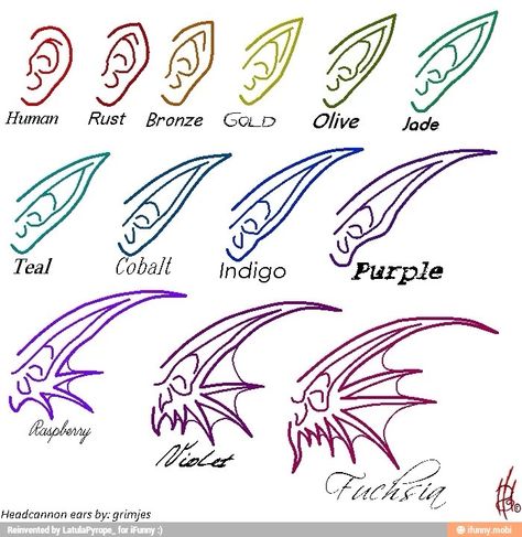 Ear headcanon chart thingamabob -- This is so great! But I've gotta question... raspberry? <~ same Dragon Ears Drawing Reference, Tail Ideas For Ocs, Webbed Ears Mermaid Drawing, Tail Designs Drawing, Creature Ears Drawing, Mermaid Drawings, Concept Art Drawing, Anime Drawings Tutorials, Art Poses