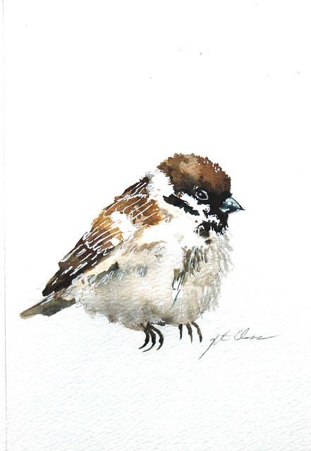 Karl Martens, Sparrow Art, Animals Watercolor, Bird Sitting, Bird Watercolor Paintings, Watercolor Inspiration, Bird Drawings, Bird Illustration, Watercolor Bird