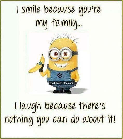 Here we have 25 of the best minion quotes about family.  Some of these are hysterical while others are more sentimental.  We have the perfect family minion quotes for every family. Minion Humour, Funny Minion Pictures, Cousin Quotes, Minion Pictures, Minion Jokes, Minions Love, Cute Minions, A Minion, Minion Quotes