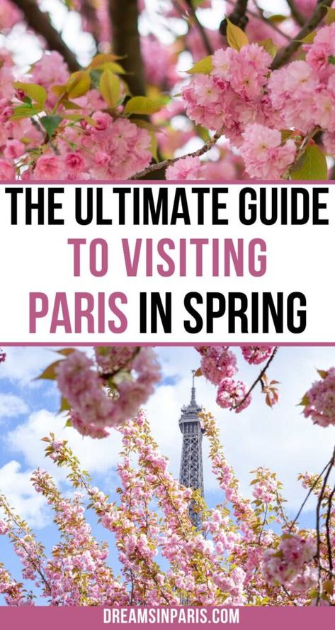 Spring Outfit In Europe, Paris Ootd Spring, Springtime In Paris Outfits, France In May Outfits, Photoshoot In Paris Outfit, Outfit For Paris Spring, Paris Vacation Outfit Spring, Spring Outfit Paris, April Europe Outfit