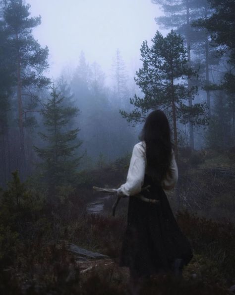 Dark Folk Aesthetic, Dark Mystical Forest, Fantasy Book Aesthetic, Winter Vibes Aesthetic, Dancing In The Forest, Southern Gothic Aesthetic, Witch Forest, Woods Aesthetic, My Tears Ricochet