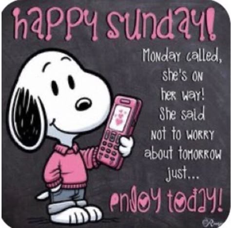 Snoopy Hug, Snoopy Collectibles, Weekend Quotes, Snoopy Pictures, Sunday Quotes, Always Forever, Enjoy Today, Night Quotes, Days Of The Week