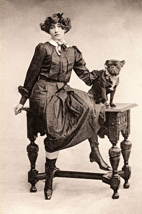 French writer Sidonie Gabrielle Colette with a French bulldog, circa 1900. English Golden Retrievers, Corgi Dachshund, Popular Dog Breeds, Most Popular Dog Breeds, Guide Dog, Irish Setter, Water Dog, American Kennel Club, Popular Dog