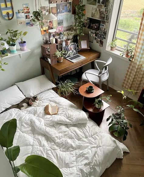 Korean Style Room, Dekorasi Kamar Tidur, Cozy Room Decor, Redecorate Bedroom, Dreamy Room, Apartment Room, Room Makeover Bedroom, Dream Room Inspiration, Room Makeover Inspiration