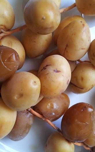 Fresh Dates Recipe, Barhi Dates, Plant Based Diet Benefits, Date Shake, Wholesome Living, Fresh Dates, Lemon Health Benefits, Kitchen Green, Halal Food