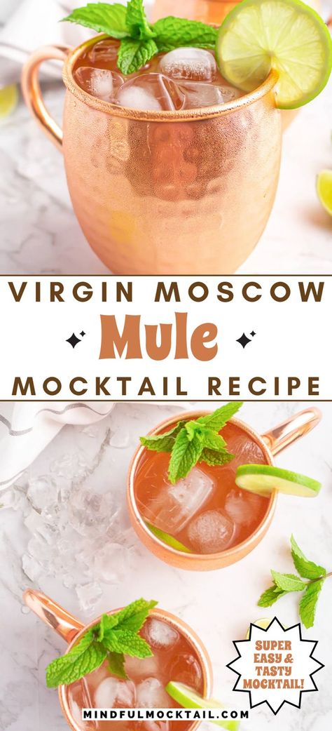 Virgin Moscow Mule, Mock Cocktails, Ginger Beer Drinks, Summer Mocktail Recipes, Easy Mocktails, Ginger Beer Cocktail, Easy Mocktail Recipes, Mule Recipe, Alcohol Free Drinks