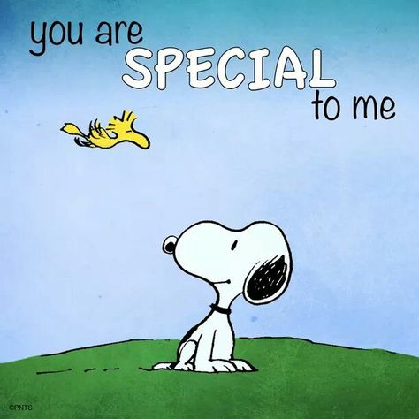 You are special to me Wallpaper Snoopy, Charlie Brown Quotes, Snoopy Dog, Snoopy Funny, Snoopy Images, Peanuts Cartoon, Snoopy Wallpaper, Snoopy Quotes, Snoopy Pictures