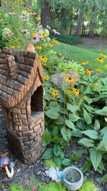 Chico The Chipmunk on Instagram: "Living the Dream!😉 • • • • • • #livingthedream #chipmunk #chipmunks #chipmunklife #chipmunkfriend #chipmunksofinstagram #chipmunkwhisperer #chipmunkcheeks #garden #gardendesign #wildlifegarden #wildlifegardening #fairygarden #cuteanimals #adorableanimals #funnyanimals #animallovers #backyardanimals #backyardwildlife #wildlifewhisperer #animalfriends #woodlandanimals #buzzfeedanimals #thedodo #animalsdoingthings #smileoftheday #animaladdicts #kawarthalakes" Toilet Remodel, Backyard Animals, Kawartha Lakes, Trailer Interior, Living The Dream, Wildlife Gardening, Exterior Remodel, Woodland Creatures, Outdoor Projects