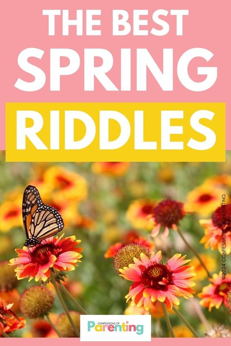 175 Fun and Challenging Spring Riddles [Free Riddle Cards] Easter Riddles, Riddle Of The Day, Spring Quotes, Card Sayings, How Many Kids, Creative Stuff, Spring Theme, Spring Has Sprung, April Fools