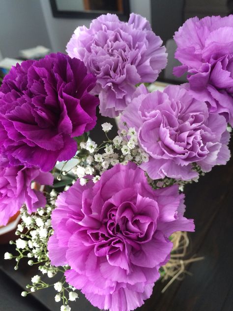 Purple carnations Purple Carnations Aesthetic, Carnation Flower Purple, Beautiful Carnations, Carnation Plants, Purple Carnations, Purple Flowers Garden, Garden Flower Beds, Carnation Flower, Flower Therapy