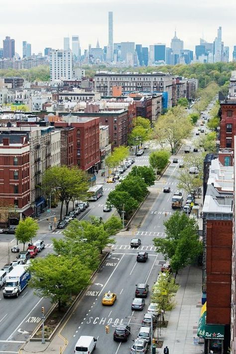 Harlem NYC. Harlem Nyc, Photo New York, New York City Vacation, Harlem New York, Liberty Island, The Bronx New York, Adam Clayton, Burbank California, New York Architecture