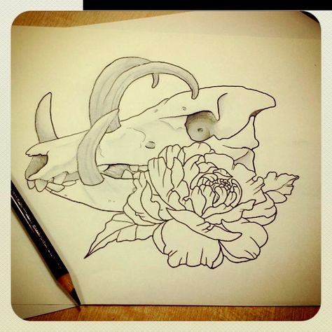 Boar Skull Art, Boar Skull Drawing, Pig Skull Tattoo, Hog Skull Tattoo, Pig Skull Drawing, Boar Skull Tattoo, Boar Tattoo Design, Boar Tattoo, Boar Skull