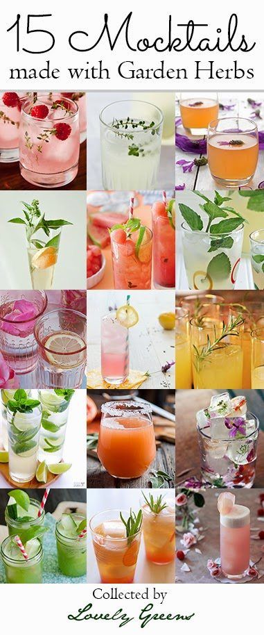 15 Mocktail Recipes made with Garden Herbs | Straight from the garden, this collection of delicious and refreshing drinks are alcohol-free alternatives to their boozier cousins #mocktail Alcohol Free Drinks, Mocktail Recipes, Garden Herbs, Mocktail Recipe, Non Alcoholic Drinks, Party Drinks, Refreshing Drinks, Alcohol Free, Cocktail Drinks