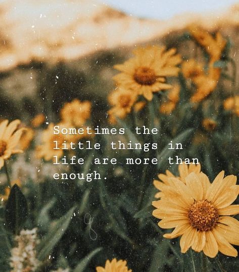 Sometimes the little things in life are more than enough – Glowwworm Beautiful Flower Quotes, Citations Instagram, Sunflower Quotes, Sunflower Pictures, Yellow Sunflowers, Sunflower Wallpaper, Flower Quotes, The Little Things, Instagram Quotes