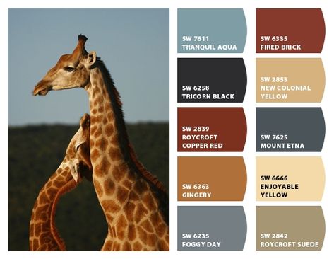 "Giraffe" Color Palette Inspiration for exterior craftsman home paint color scheme, stone accent colors, shingle choice, and landscape plantings.  Chip It! by Sherwin-Williams – Home Giraffe Stone House Exterior, Giraffe Color Palette, Africa Colour Palette, Africa Color Palette, African Color Palette, House Colour Schemes, Safari Color Palette, Paint Colors For House, Colors For House