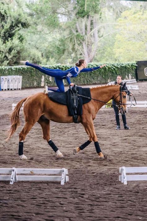 Equestrian Vaulting, Vaulting Equestrian, Horse Vaulting, Trick Riding, Theatre Life, Vaulting, Horseback Riding, A Horse, Gymnastics