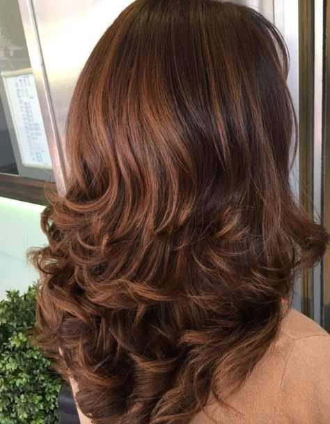 Dark Chestnut Hair, Hair Color For Fall, Hair Color Brown Chestnut, Brown Hair Inspiration, Chestnut Brown Hair, Chestnut Hair Color, Perfect Hair Color, Brown Hair Looks, Brown Hair Inspo